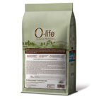 O-life Cat Adult con Salmone Fresco 1,2 Kg