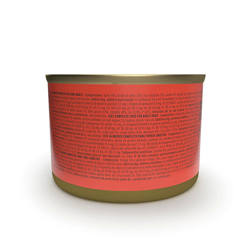 Schesir Taste the World Dog Adult Asian Stir Fry in brodo 150gr