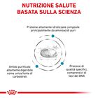 Royal Canin Veterinary Diet Cat Anallergenic 2 kg