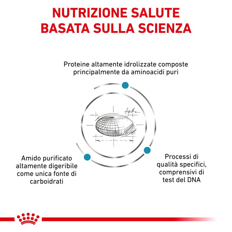 Royal Canin Veterinary Diet Cat Anallergenic 2 kg