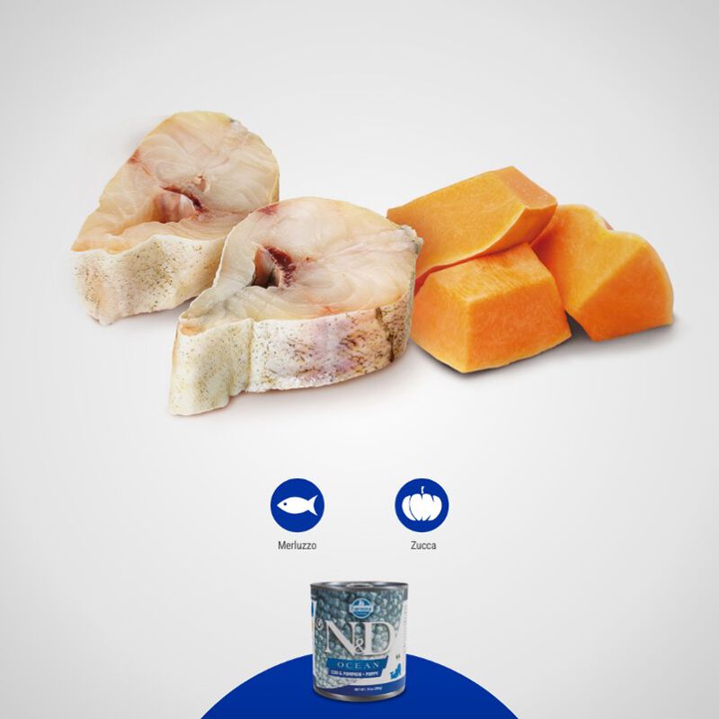 Farmina N&D Ocean Dog Puppy Merluzzo e zucca 285 gr