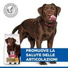 Hill's Science Plan Dog Adult Healthy Mobility Large Breed con Pollo 12 kg