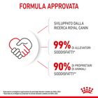 Royal Canin Cat Kitten Loaf  85 gr