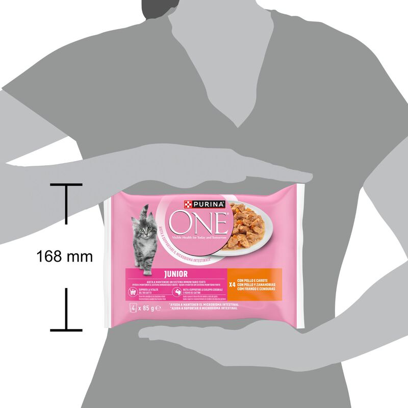 Purina One Kitten con Pollo e Carote 4 pz x 85 gr