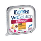 Monge VetSolution Dog Diet Recovery 150 gr