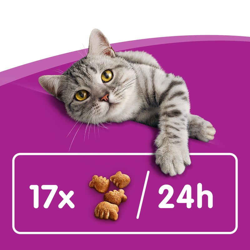 Whiskas Dentabites Snack Pollo 40gr