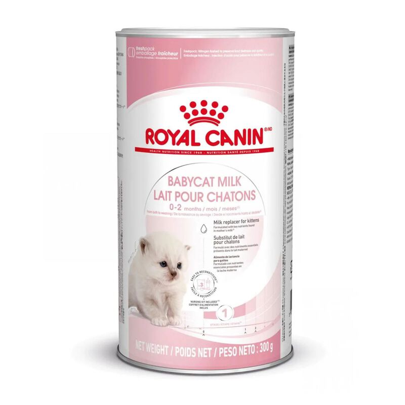 Royal Canin BabyCat Kitten Milk 300 gr - Scad. Gennaio 26