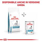 Royal Canin Veterinary Diet Dog Hypoallergenic 2 kg