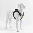 Tre Ponti Harmonia Pettorina per cani L col. Lime