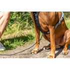 Trixie Pettorina Active Color Azzurro Tg S-M