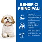 Hill's Science Plan Dog Small & Mini Mature Adult 7+ al Pollo 1,5 kg