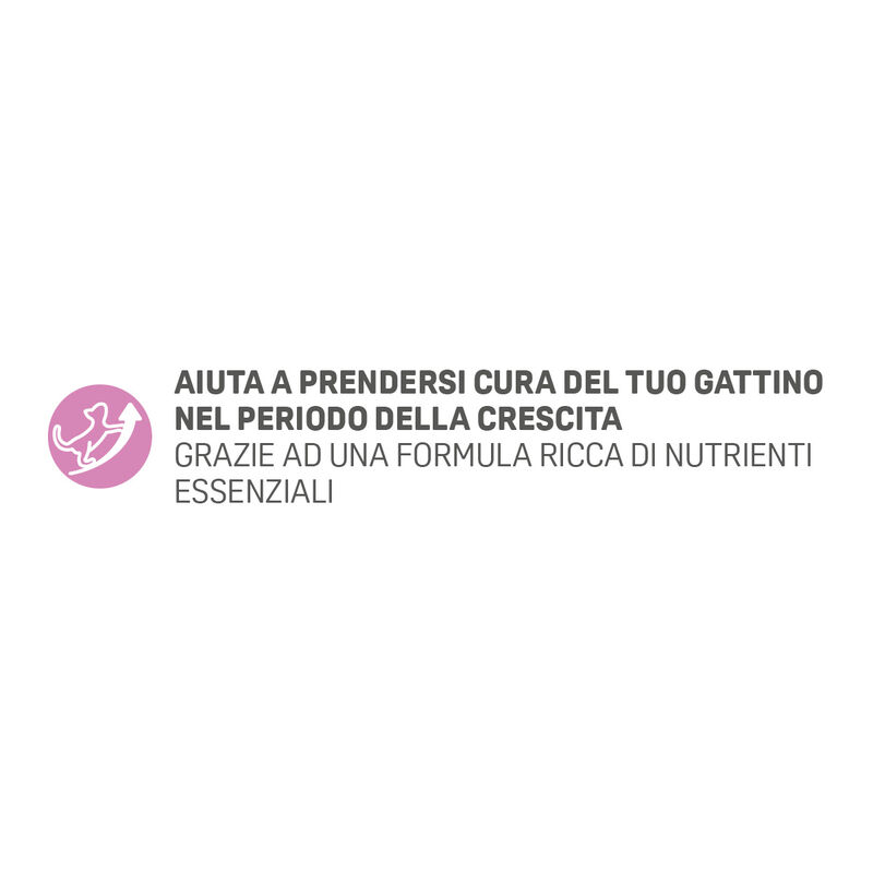 Natural Trainer Cat Kitten con Pollo Fresco 1,5 kg