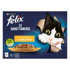 Felix Le Ghiottonerie Cat Le Variet&agrave; 72 x 85 gr