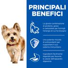 Hill's Science Plan Dog Mature Adult 7+ Small & Mini Mousse Manzo 200 gr