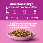 Whiskas Cat Junior al Pollo 300 gr