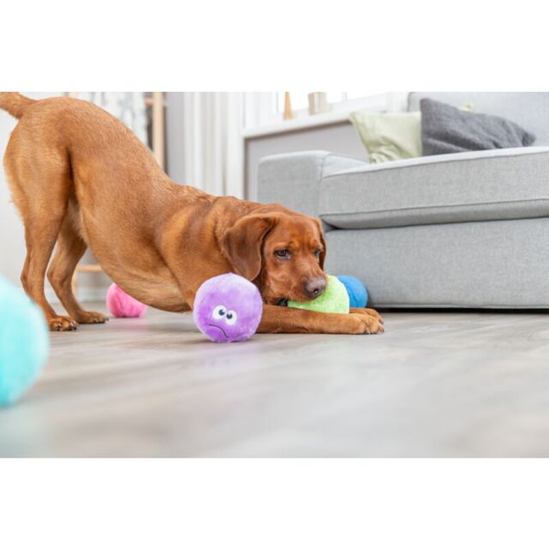 Trixie Eco palla per cani 10 cm