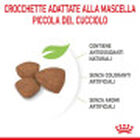 Royal Canin Dog Mini Puppy 4 kg