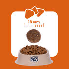 Monopro Dog All breeds Anatra 10 kg