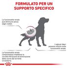 Royal Canin Veterinary Diet Dog Early Renal 14 kg