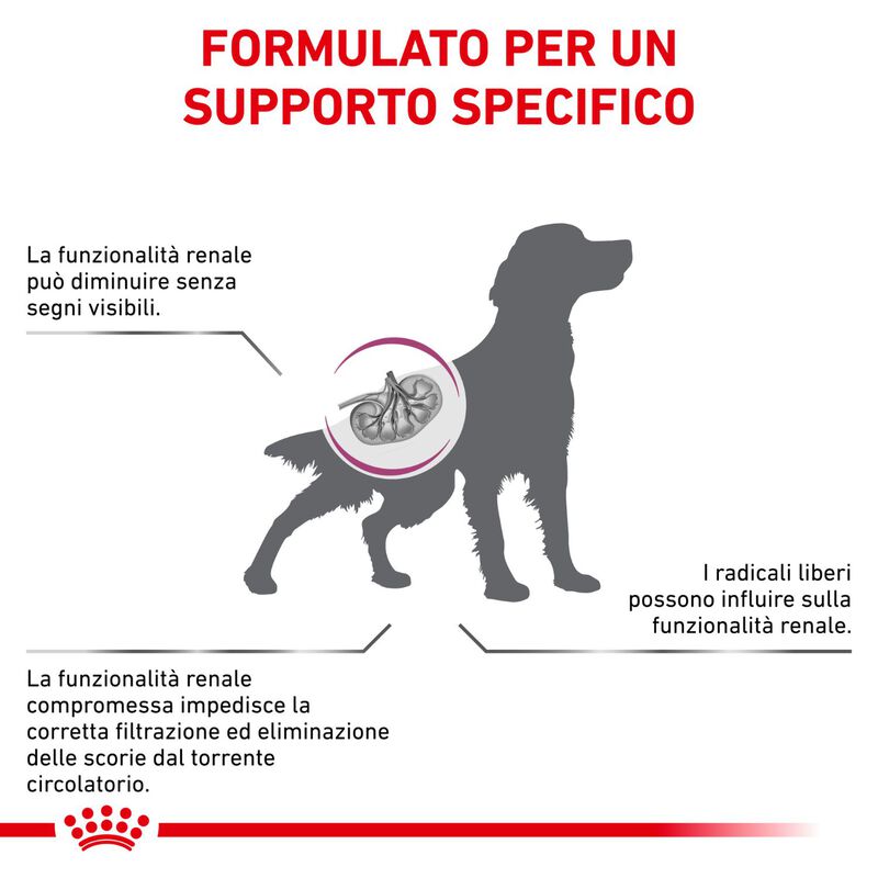 Royal Canin Veterinary Diet Dog Early Renal 14 kg