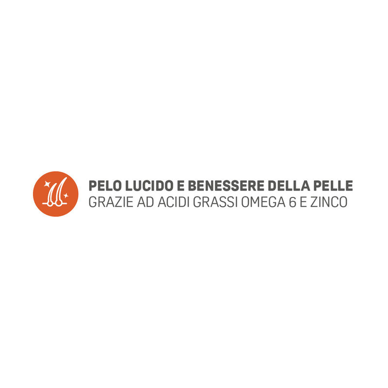 Trainer Natural Dog Medium Adult Manzo e Riso 12 kg
