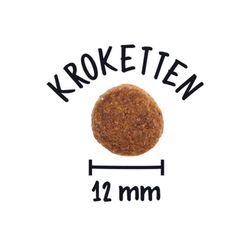 Wow Dog Adult Salmone con spinaci e patate dolci 6kg