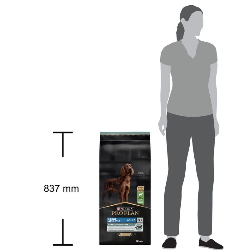 Purina Pro Plan Dog Adult Large Athletic Sensitive Digestion Agnello 14 kg