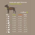 Coralpina Pettorina Cinquetorri Rossa Tg 6