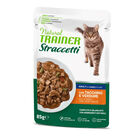Natural Trainer Cat Adult Straccetti Tacchino 85gr image number 0