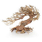 Amtra Legno Oriental Wind 3 Small image number 0