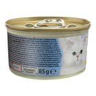 Gourmet Diamant Cat Adult Sfilaccetti con Pollo Naturale 85 gr