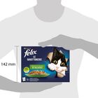 Felix Le Ghiottonerie Cat Selezioni con verdure 12 x 85 gr