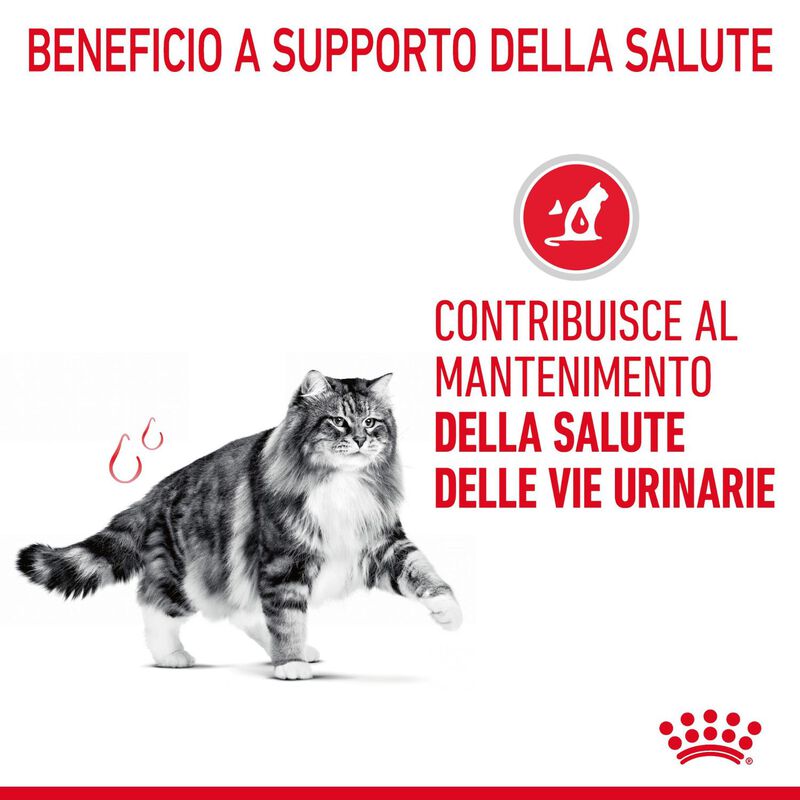 Royal Canin Cat Adult Urinary Care 2 kg
