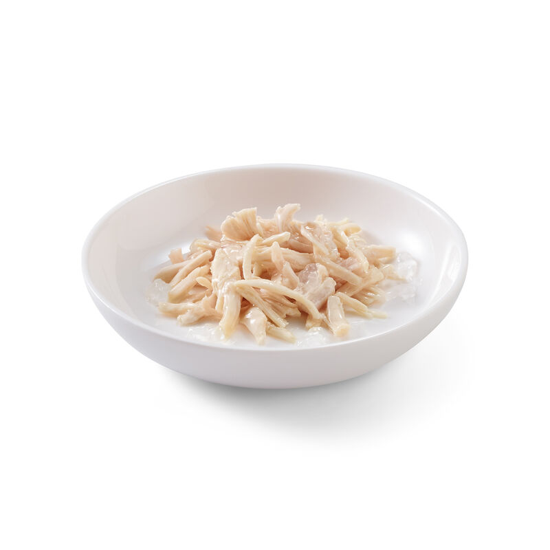 Schesir Cat Kitten Filetti di Pollo 85 gr