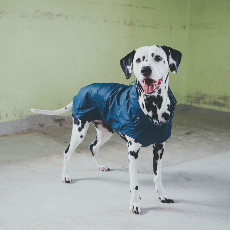 Hunter Impermeabile per cani Milford colore Blu tg. 55