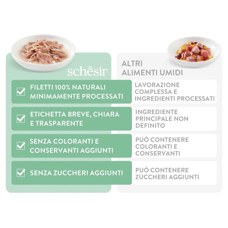 Schesir Cat Tonnetto con Zucca in Jelly 70 gr