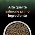 Purina Pro Plan LiveClear Cat Adult Sterilized ricco in Salmone 1,4 kg