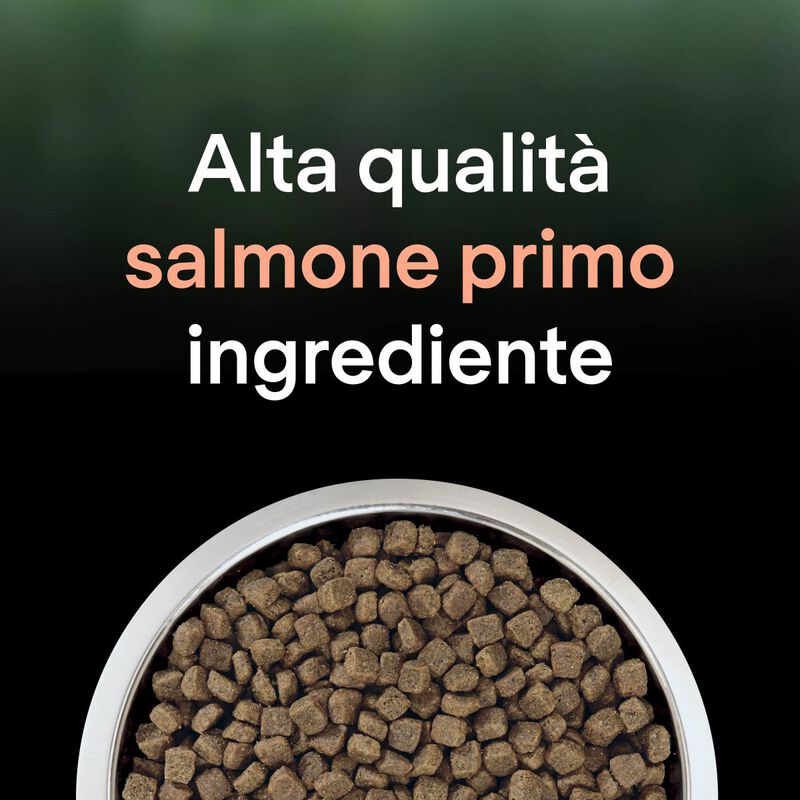 Purina Pro Plan LiveClear Cat Adult Sterilized ricco in Salmone 1,4 kg