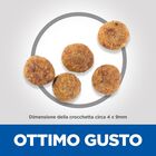 Hill's Science Plan Dog Perfect Weight Small & Mini Adult con Pollo 1,5 kg