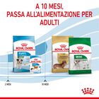 Royal Canin Dog Mini Puppy 8 kg