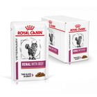 Royal Canin Veterinary Diet Cat Renal con Manzo 12x85 gr