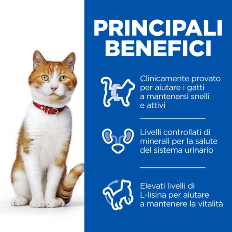 Hill's Science Plan Cat Adult Sterilised con Salmone 85 gr