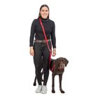 Trixie Collare Premium Color Petrolio Tg S