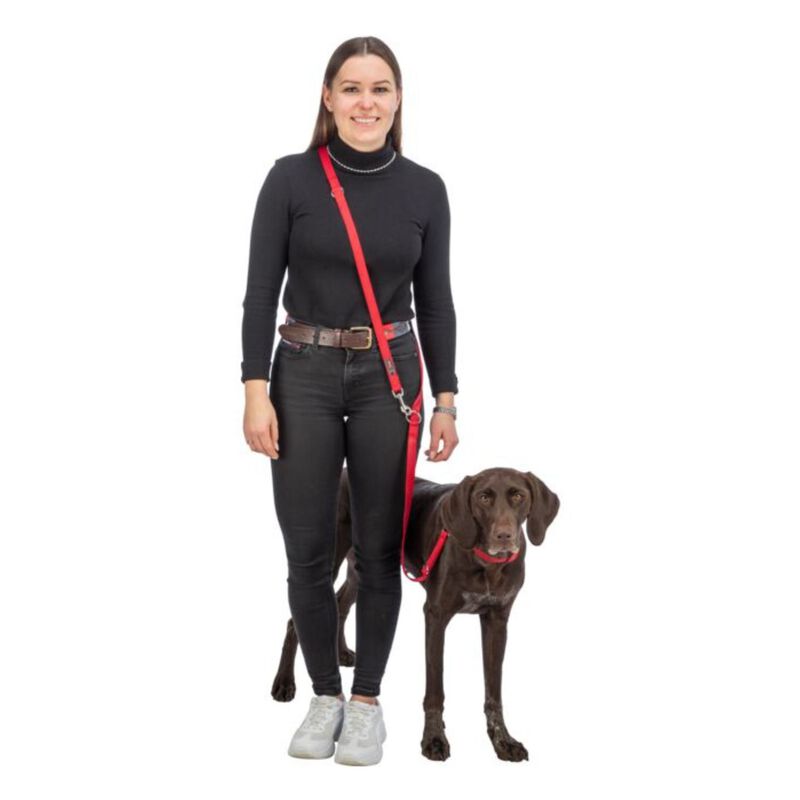 Trixie Collare Premium Color Petrolio Tg S