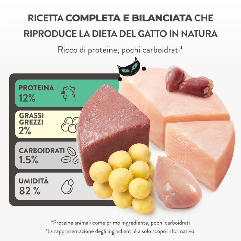 Schesir After Dark Cat Adult Filetti in brodo Pollo e Uova di quaglia 80 gr