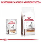 Royal Canin Veterinary Diet Dog Adult Gatrointestinal Low Fat 420 gr