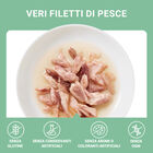 Schesir Cat Tonnetto in brodo 70 gr