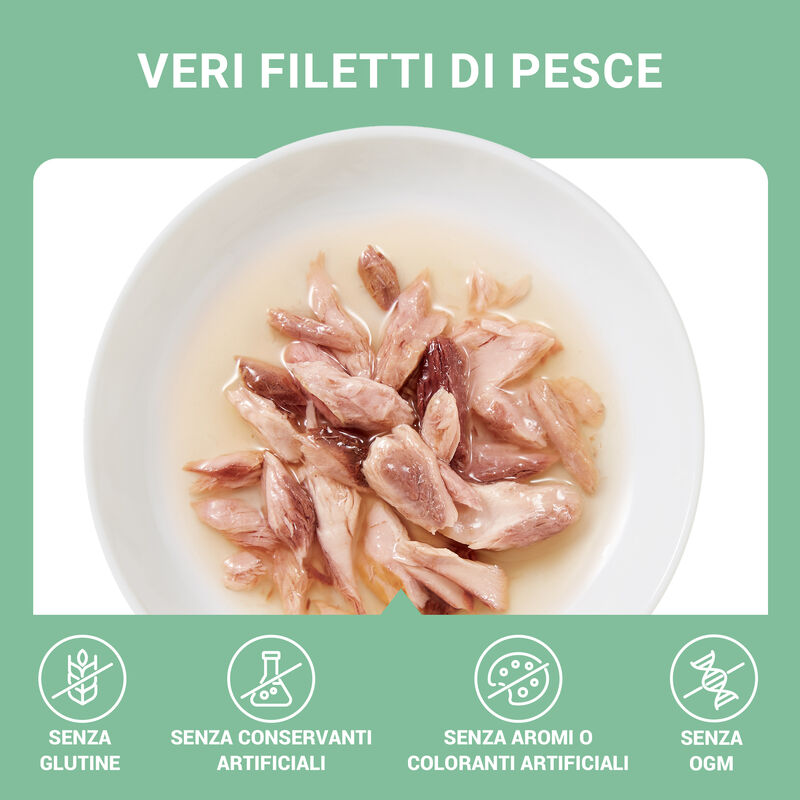Schesir Cat Tonnetto in brodo 70 gr
