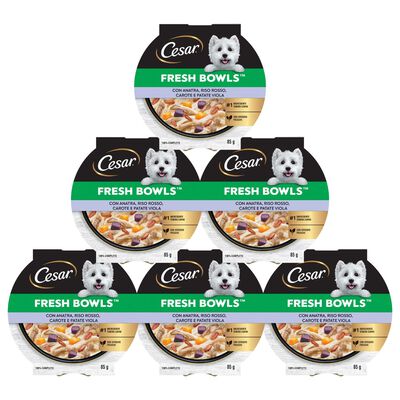 Cesar Fresh Bowls con anatra, riso rosso, carote e patata viola 85gr