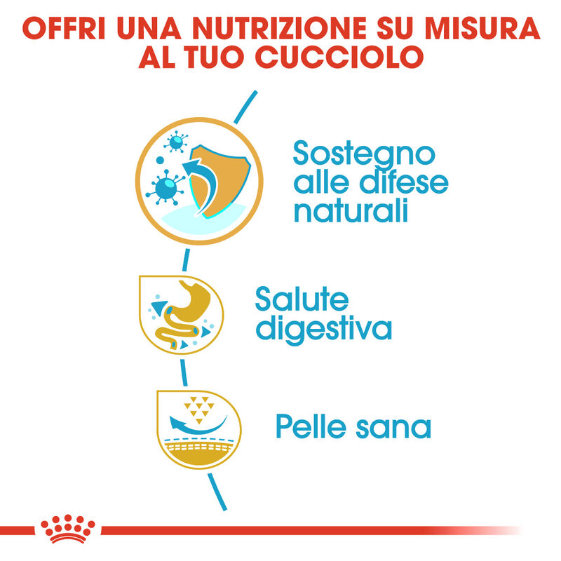 Royal Canin Dog Puppy French Bulldog 1 kg